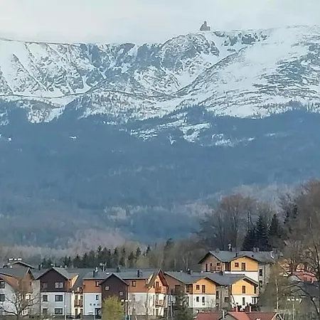 Modern Z Ogrodem Apartment *