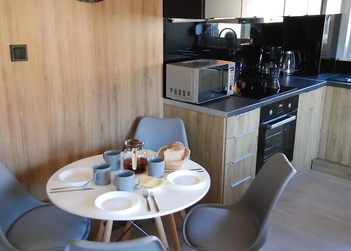 Apartment Modern Z Ogrodem *